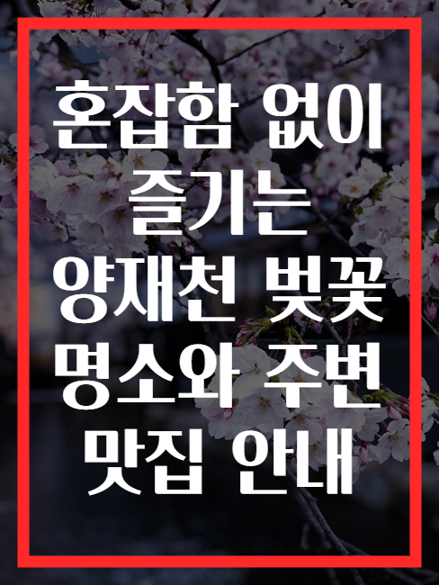 혼잡함 없이 즐기는 양재천 벚꽃 명소와 주변 맛집 안내