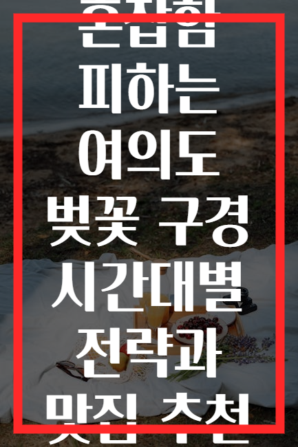 혼잡함 피하는 여의도 벚꽃 구경 시간대별 전략과 맛집 추천