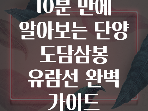 10분 만에 알아보는 단양 도담삼봉 유람선 완벽 가이드