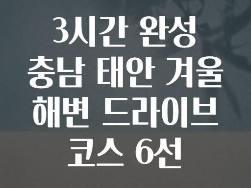 3시간 완성 충남 태안 겨울 해변 드라이브 코스 6선