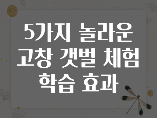 5가지 놀라운 고창 갯벌 체험 학습 효과