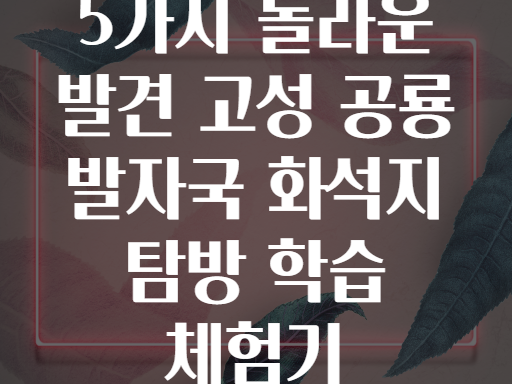 5가지 놀라운 발견 고성 공룡 발자국 화석지 탐방 학습 체험기