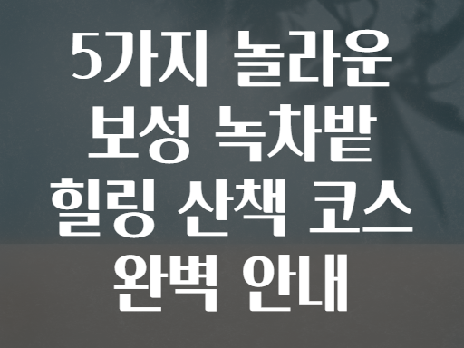 5가지 놀라운 보성 녹차밭 힐링 산책 코스 완벽 안내
