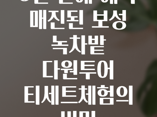 5일 만에 예약 매진된 보성 녹차밭 다원투어 티세트체험의 비밀