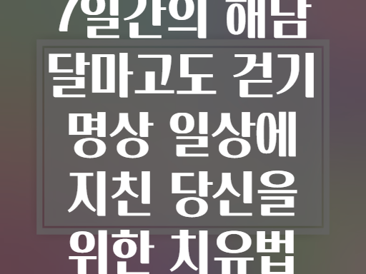 7일간의 해남 달마고도 걷기 명상 일상에 지친 당신을 위한 치유법