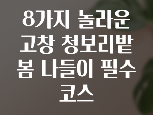 8가지 놀라운 고창 청보리밭 봄 나들이 필수 코스