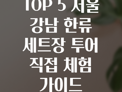 TOP 5 서울 강남 한류 세트장 투어 직접 체험 가이드