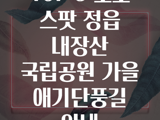 TOP 5 포토 스팟 정읍 내장산 국립공원 가을 애기단풍길 안내