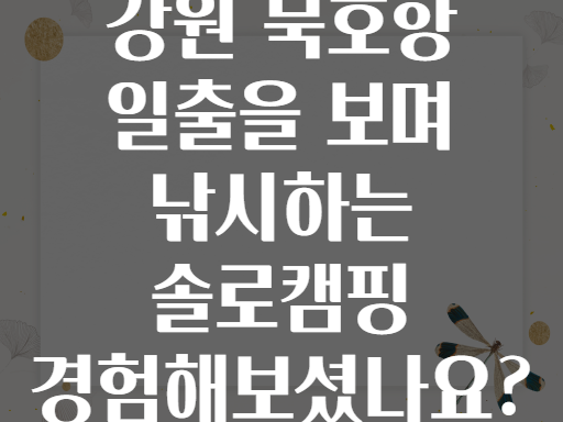 강원 묵호항 일출을 보며 낚시하는 솔로캠핑 경험해보셨나요?