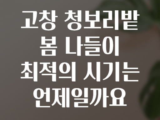 고창 청보리밭 봄 나들이 최적의 시기는 언제일까요