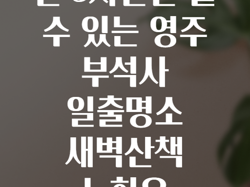 단 3시간만 볼 수 있는 영주 부석사 일출명소 새벽산책 노하우