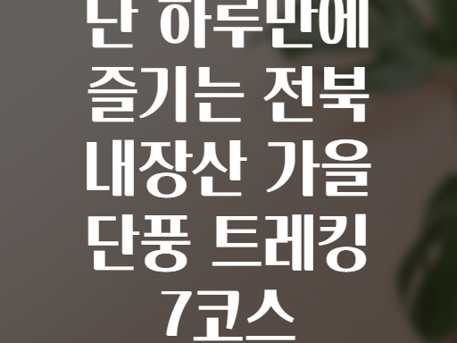 단 하루만에 즐기는 전북 내장산 가을 단풍 트레킹 7코스