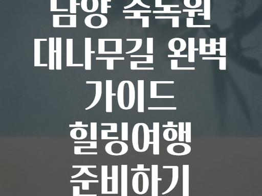 담양 죽녹원 대나무길 완벽 가이드 힐링여행 준비하기
