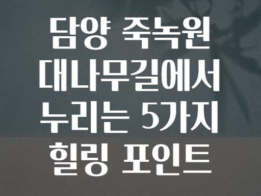 담양 죽녹원 대나무길에서 누리는 5가지 힐링 포인트