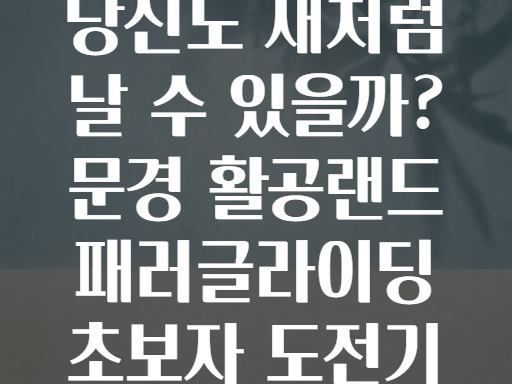 당신도 새처럼 날 수 있을까? 문경 활공랜드 패러글라이딩 초보자 도전기