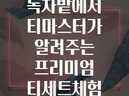 보성 녹차밭에서 티마스터가 알려주는 프리미엄 티세트체험 방법은?