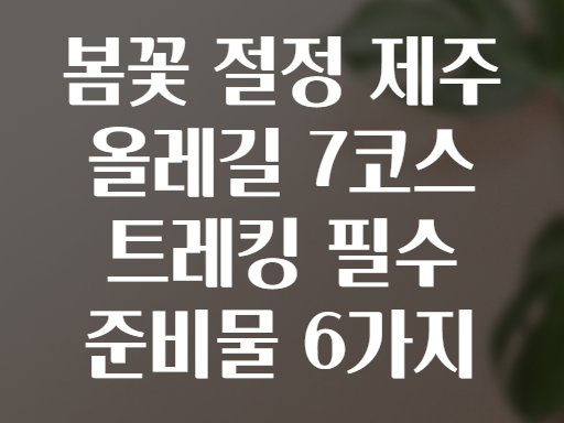 봄꽃 절정 제주 올레길 7코스 트레킹 필수 준비물 6가지