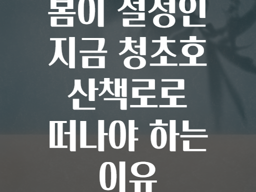 봄이 절정인 지금 청초호 산책로로 떠나야 하는 이유
