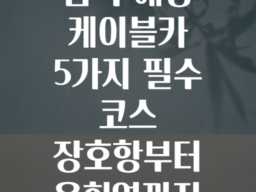 삼척 해상 케이블카 5가지 필수 코스 장호항부터 용화역까지