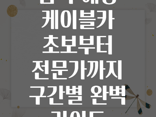 삼척 해상 케이블카 초보부터 전문가까지 구간별 완벽 가이드