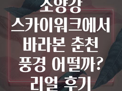 소양강 스카이워크에서 바라본 춘천 풍경 어떨까? 리얼 후기