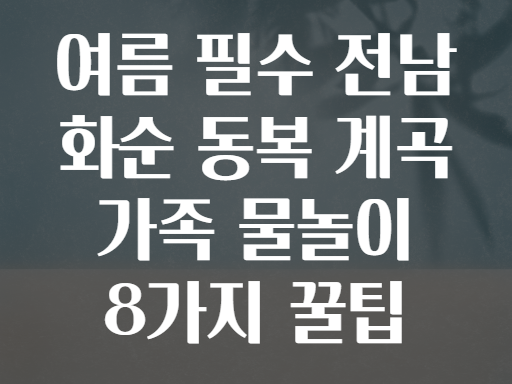 여름 필수 전남 화순 동복 계곡 가족 물놀이 8가지 꿀팁