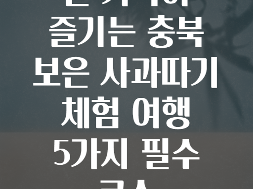 온 가족이 즐기는 충북 보은 사과따기 체험 여행 5가지 필수 코스