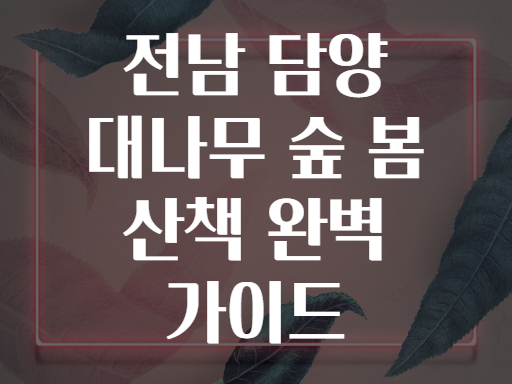 전남 담양 대나무 숲 봄 산책 완벽 가이드