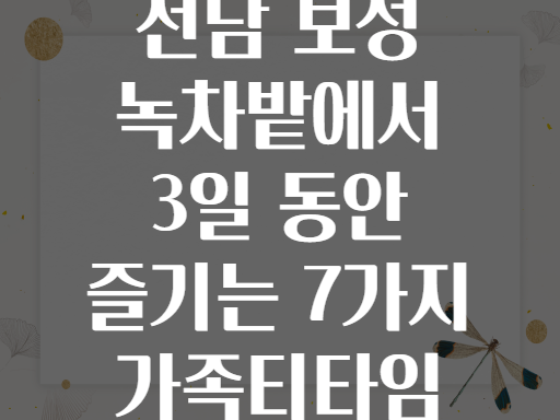 전남 보성 녹차밭에서 3일 동안 즐기는 7가지 가족티타임