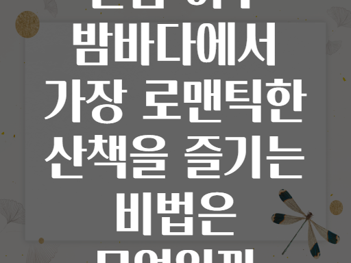 전남 여수 밤바다에서 가장 로맨틱한 산책을 즐기는 비법은 무엇일까