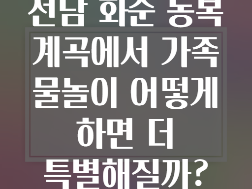 전남 화순 동복 계곡에서 가족 물놀이 어떻게 하면 더 특별해질까?