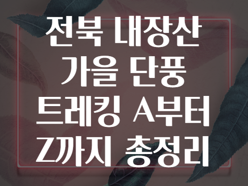 전북 내장산 가을 단풍 트레킹 A부터 Z까지 총정리