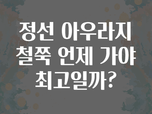 정선 아우라지 철쭉 언제 가야 최고일까?