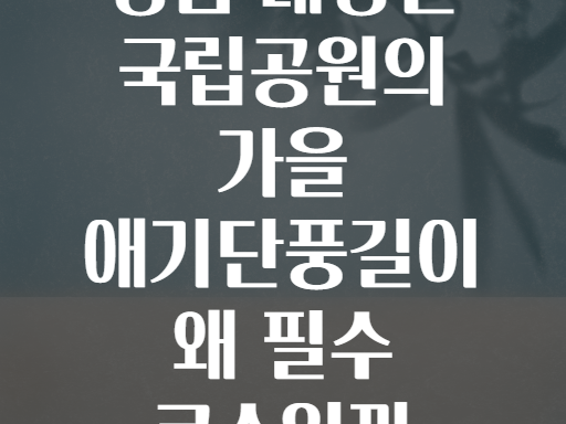 정읍 내장산 국립공원의 가을 애기단풍길이 왜 필수 코스일까