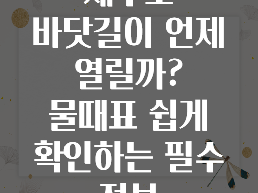 제부도 바닷길이 언제 열릴까? 물때표 쉽게 확인하는 필수 정보