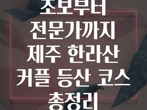 초보부터 전문가까지 제주 한라산 커플 등산 코스 총정리