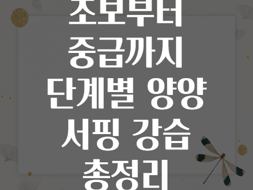 초보부터 중급까지 단계별 양양 서핑 강습 총정리