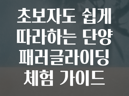 초보자도 쉽게 따라하는 단양 패러글라이딩 체험 가이드