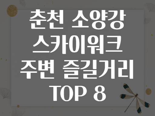 춘천 소양강 스카이워크 주변 즐길거리 TOP 8