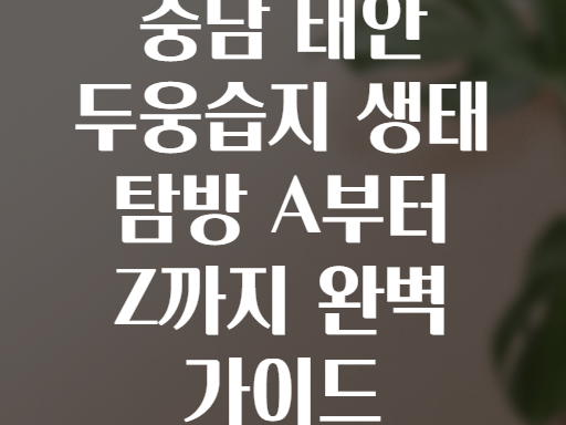 충남 태안 두웅습지 생태 탐방 A부터 Z까지 완벽 가이드