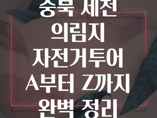 충북 제천 의림지 자전거투어 A부터 Z까지 완벽 정리