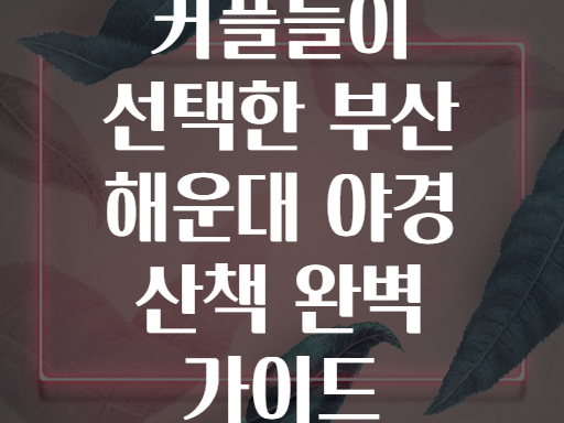 커플들이 선택한 부산 해운대 야경 산책 완벽 가이드