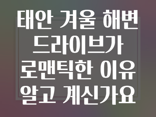 태안 겨울 해변 드라이브가 로맨틱한 이유 알고 계신가요