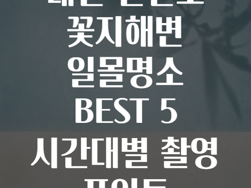 태안 안면도 꽃지해변 일몰명소 BEST 5 시간대별 촬영 포인트