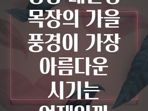 평창 대관령 목장의 가을 풍경이 가장 아름다운 시기는 언제일까