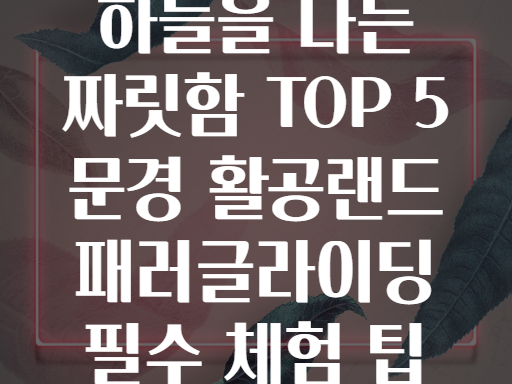 하늘을 나는 짜릿함 TOP 5 문경 활공랜드 패러글라이딩 필수 체험 팁