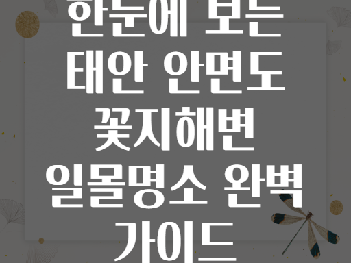 한눈에 보는 태안 안면도 꽃지해변 일몰명소 완벽 가이드
