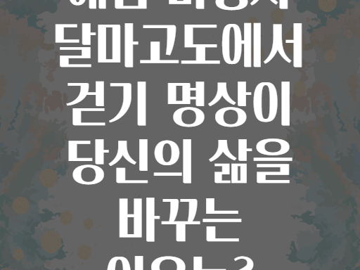 해남 미황사 달마고도에서 걷기 명상이 당신의 삶을 바꾸는 이유는?