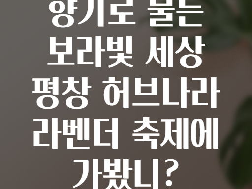 향기로 물든 보라빛 세상 평창 허브나라 라벤더 축제에 가봤니?
