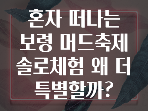혼자 떠나는 보령 머드축제 솔로체험 왜 더 특별할까?